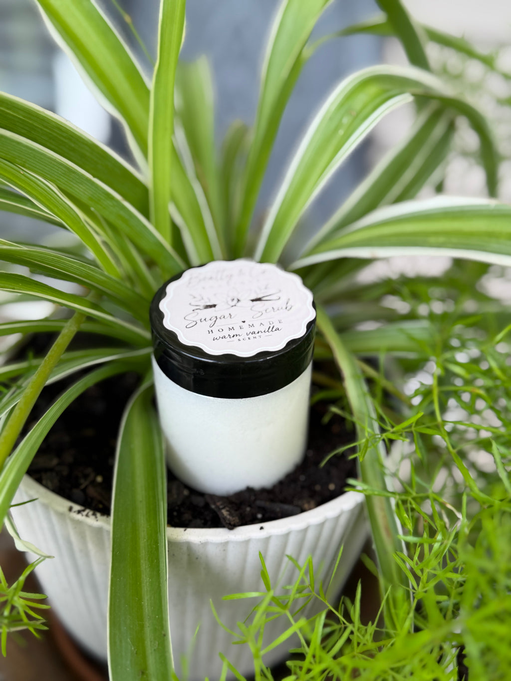 Beatty & Co. Boutique Sugar Scrub Warm Vanilla