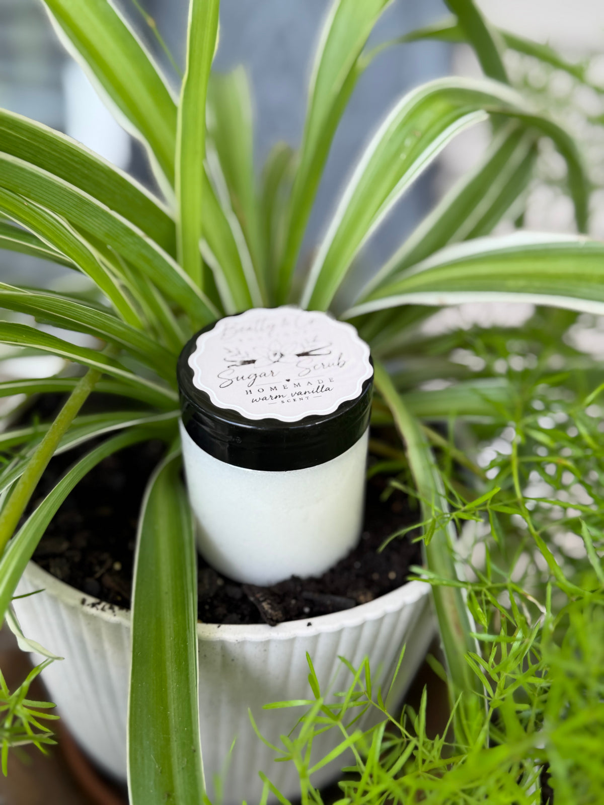 Beatty & Co. Boutique Sugar Scrub Warm Vanilla