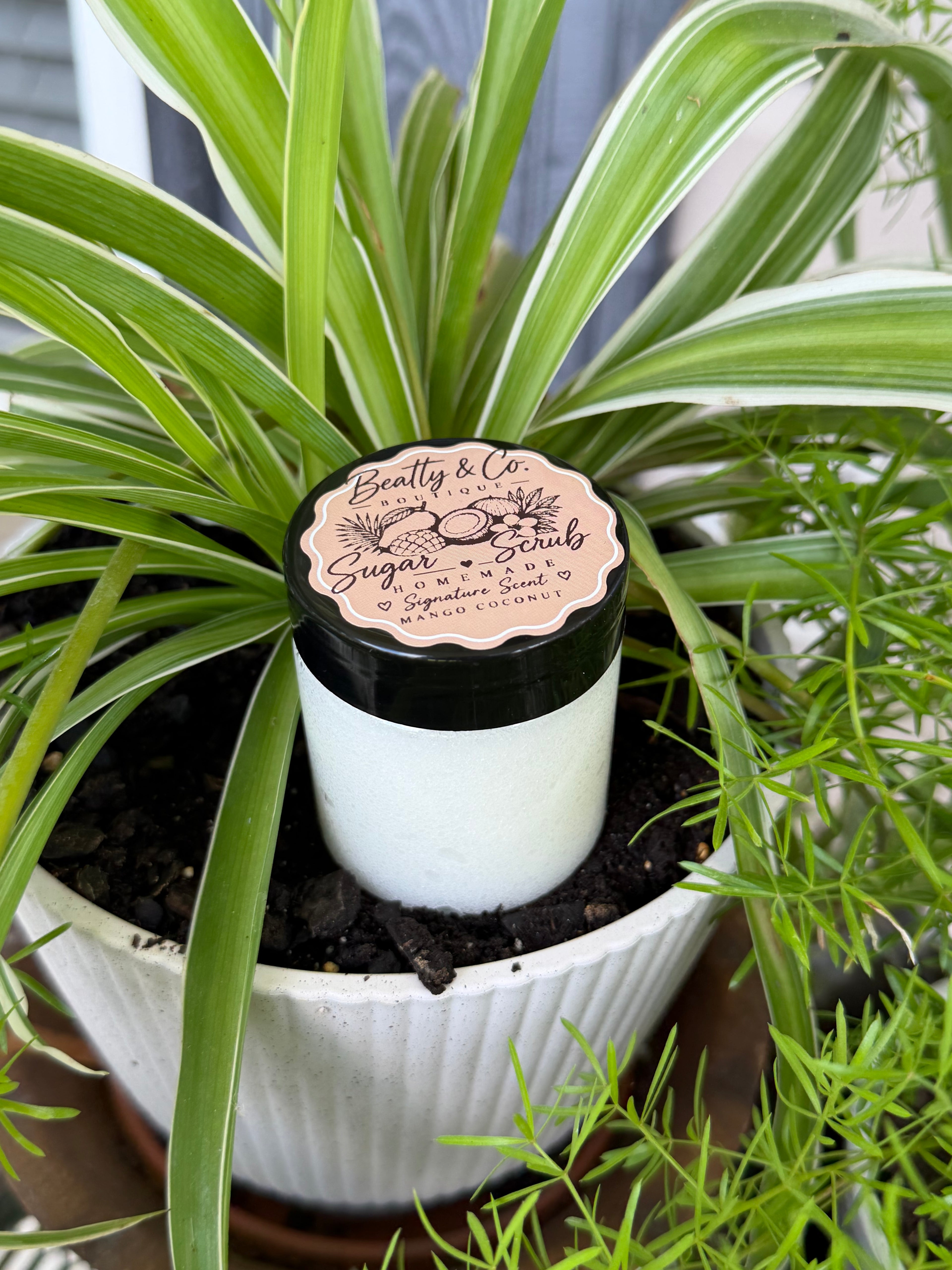 Beatty & Co. Boutique Sugar Scrub Signature Scent Mango Coconut