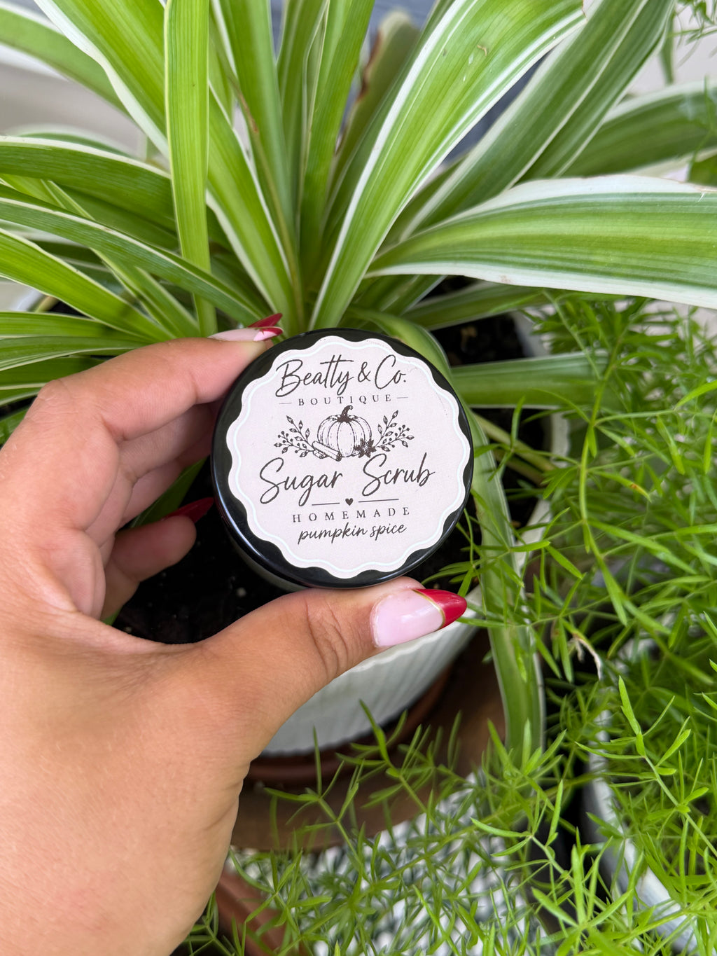 Beatty & Co. Boutique Sugar Scrub Pumpkin Spice