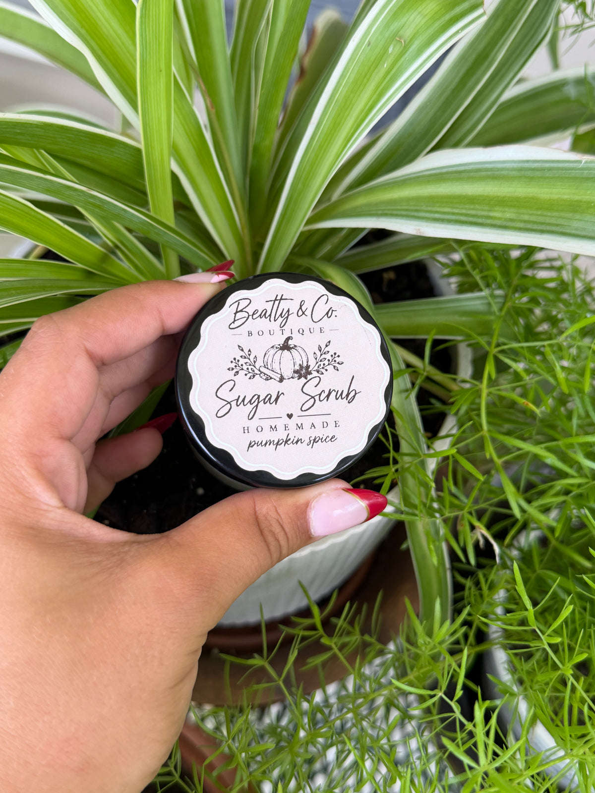 Beatty & Co. Boutique Sugar Scrub Pumpkin Spice