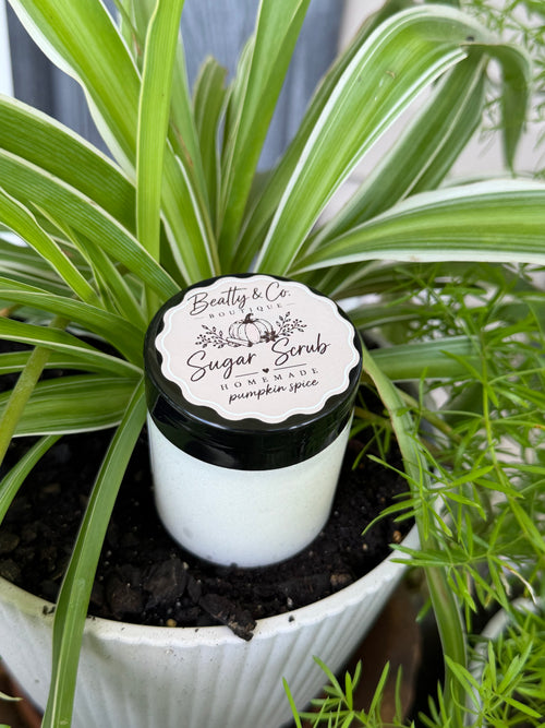 Beatty & Co. Boutique Sugar Scrub Pumpkin Spice