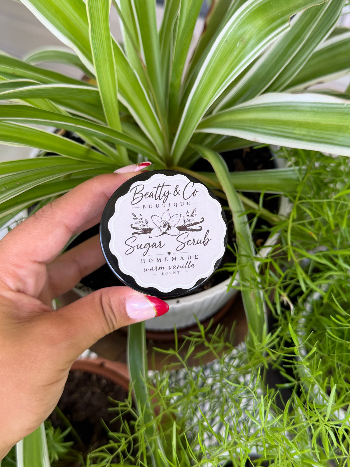 Beatty & Co. Boutique Sugar Scrub Warm Vanilla