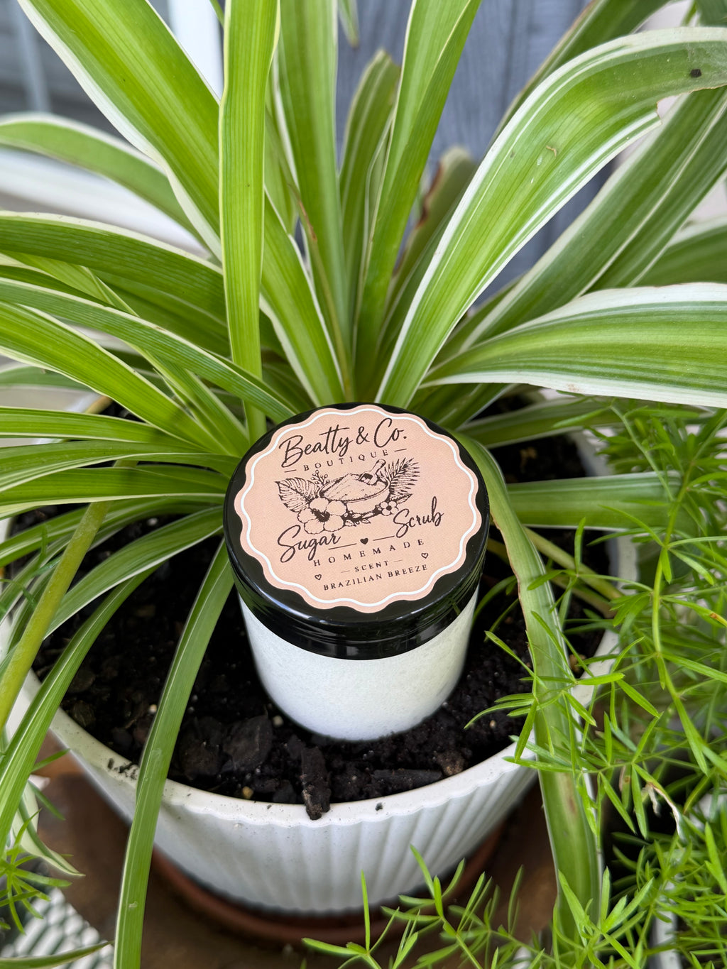 Beatty & Co. Boutique Sugar Scrub Brazilian Breeze