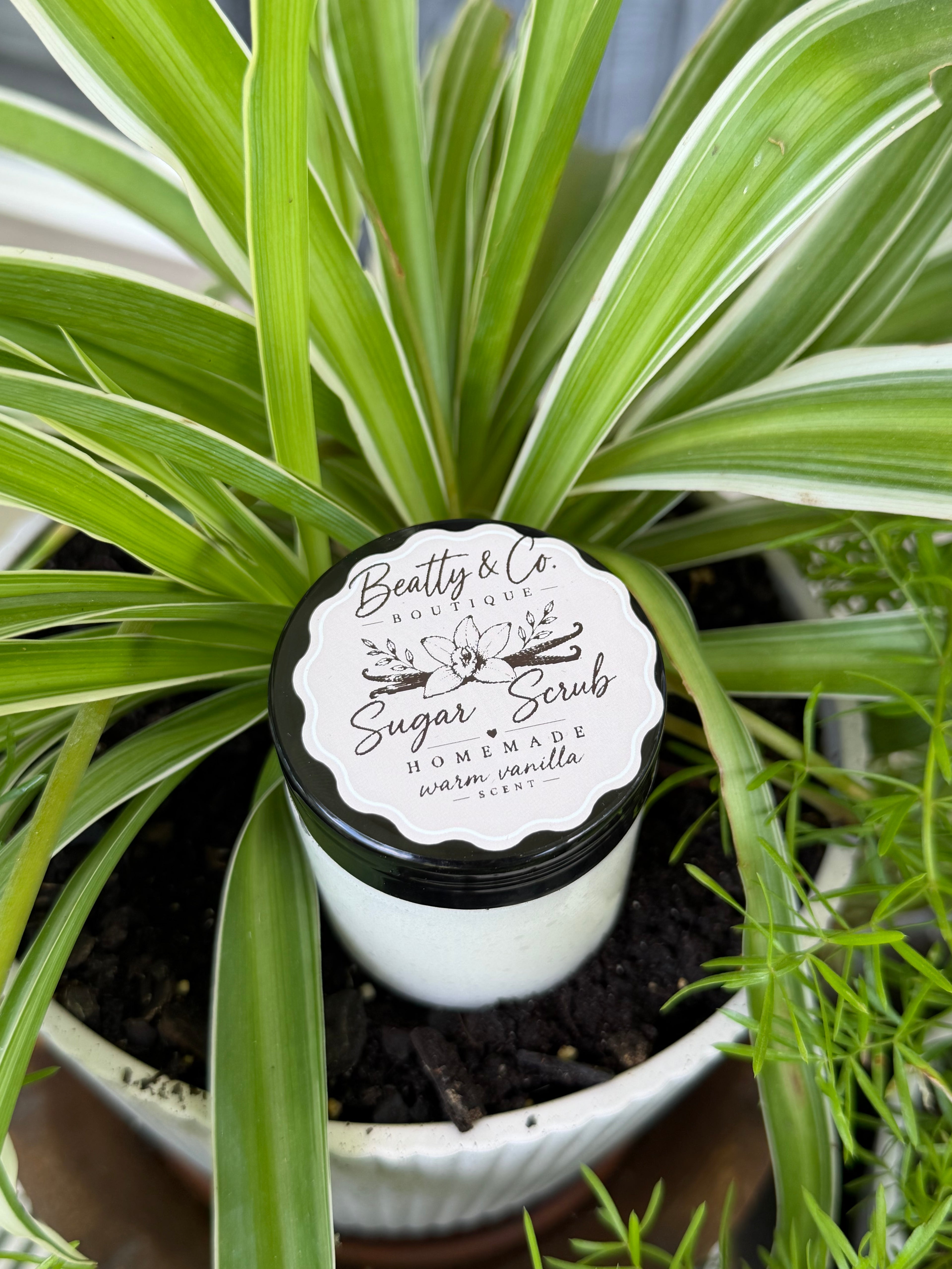 Beatty & Co. Boutique Sugar Scrub Warm Vanilla