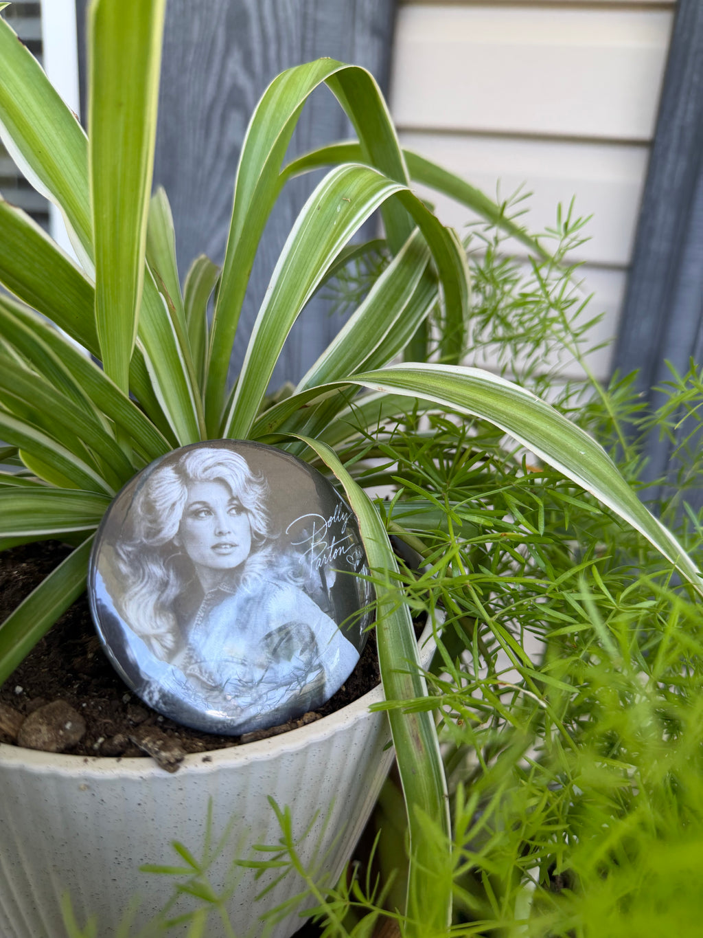 Dolly Signature Pin