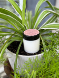 Beatty & Co. Boutique Sugar Scrubs Carmel Apple