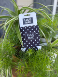 Black/White Dot Koozie